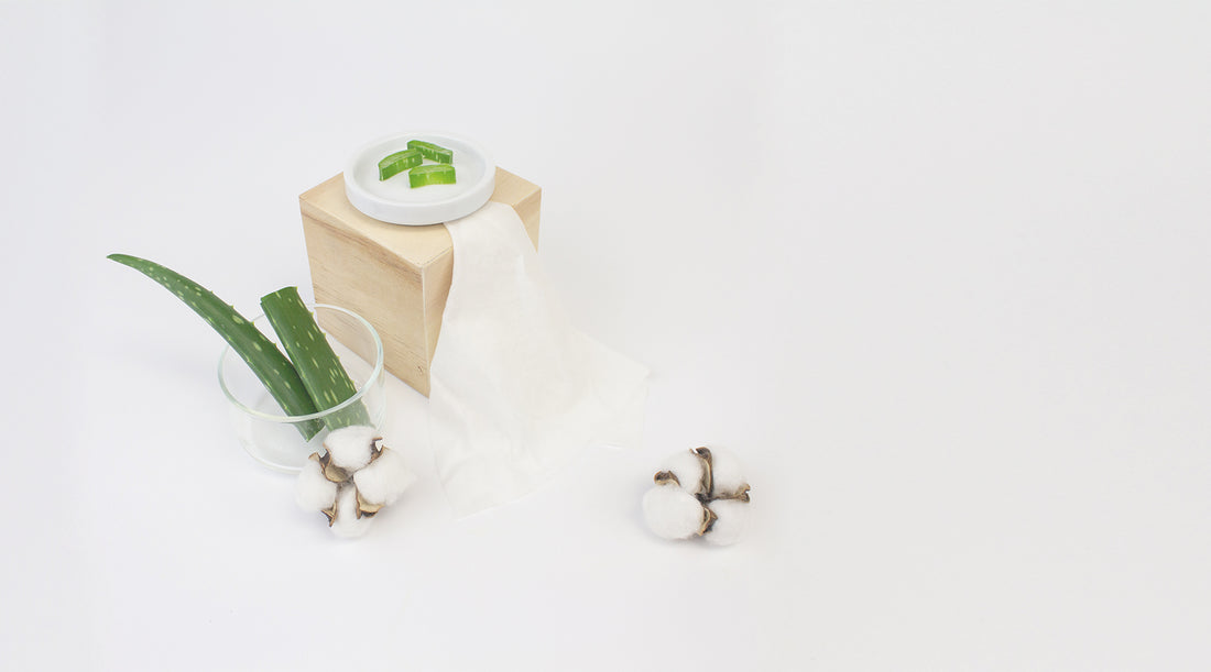 Aloe Vera and Cotton Buds on white surface