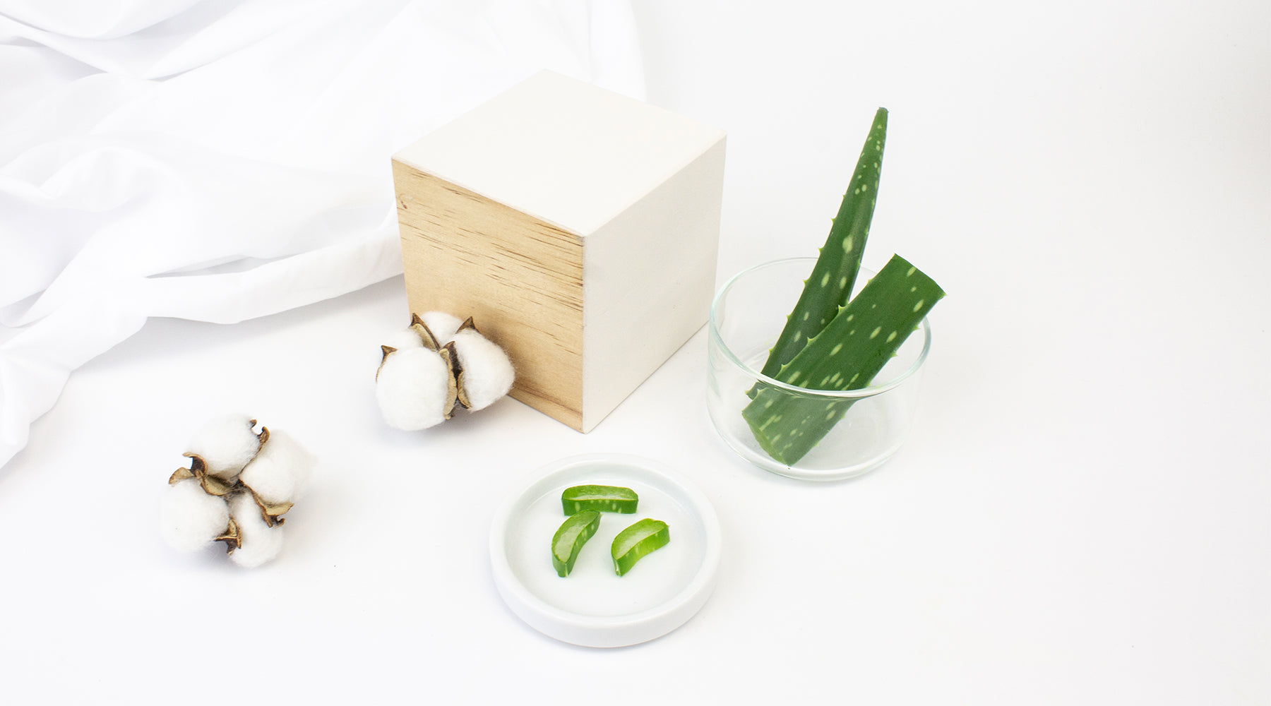 Cotton buds and Aloe Vera Leaves on White Background