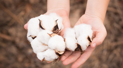 Why is GMO-Free Cotton important?