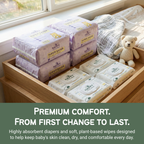 Monthly Boxes With Flushable Wipes